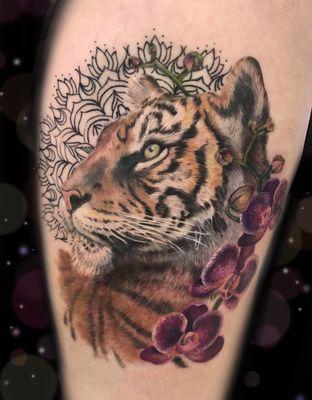 Newly completed realistic tiger tattoo by shop owner and artist Megan Wood