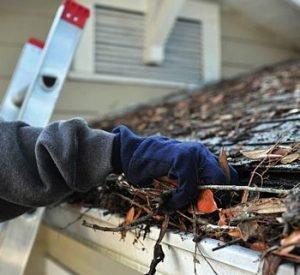 Gutter Cleaning