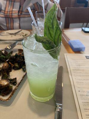 Cucumber vodka drink with basil