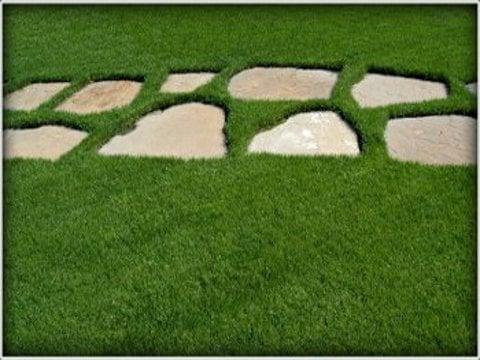 Lawn and garden, Landscapers in Mandeville