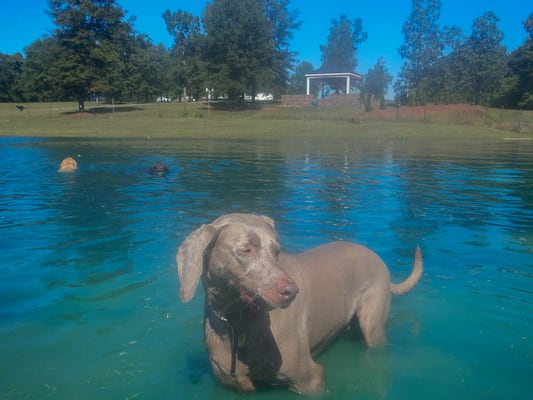 Chillin in the water