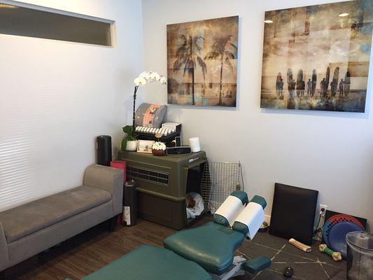 Chiropractic room with a sneak peek of my dog