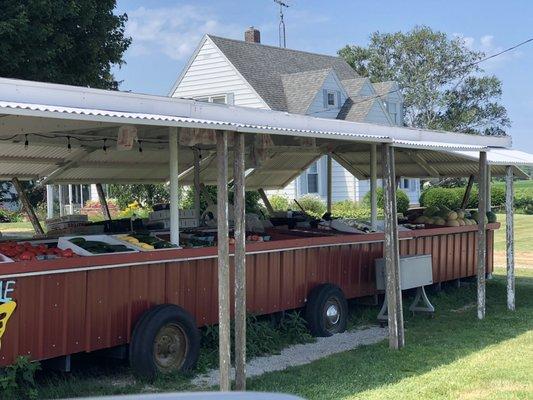 Jasper’s Farm Stand