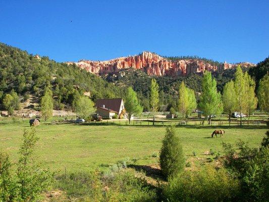 Neighbor's Horse Farm