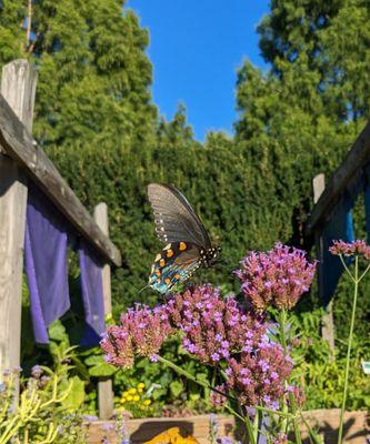 Wegerzyn Gardens Metroparks