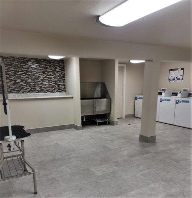 Dog wash/ dog grooming station in our laundry facility