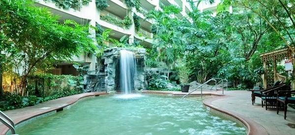 Rainforest Pool