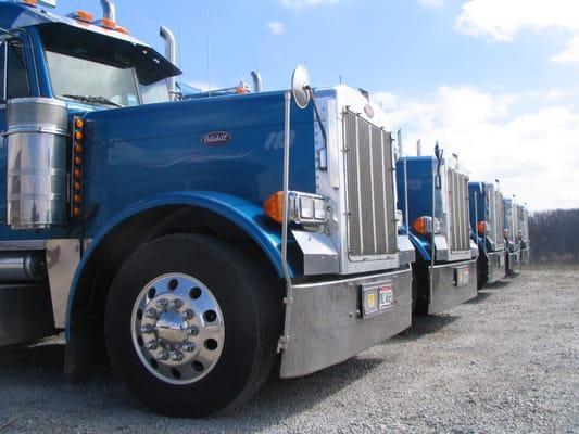 Picture of part of our fleet of trucks.