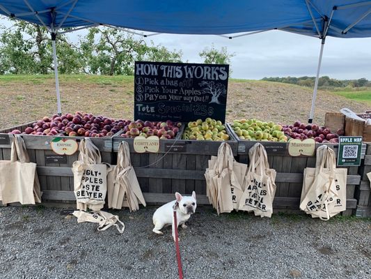 Apples!