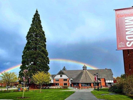 Rainbow on campus this week!