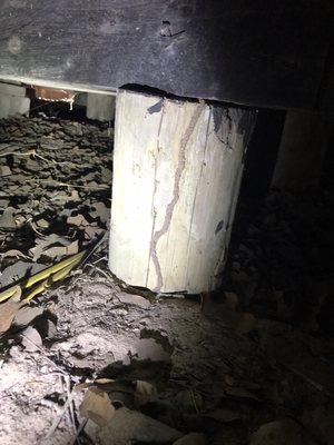 Termites destroying crawl space of home.