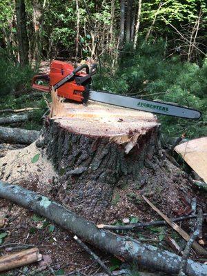 Jacob's Tree Service