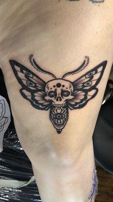 Death's head moth from Tati!