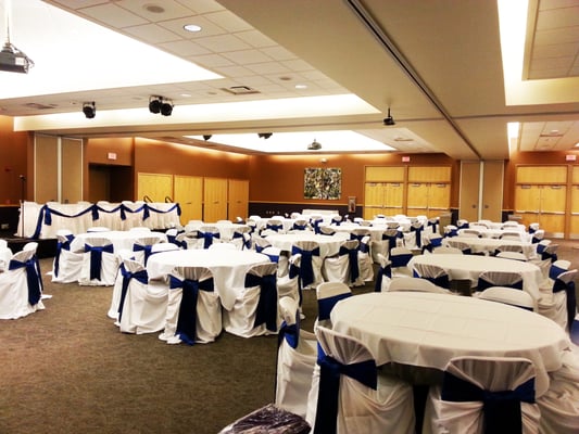 Chair Covers & Ties