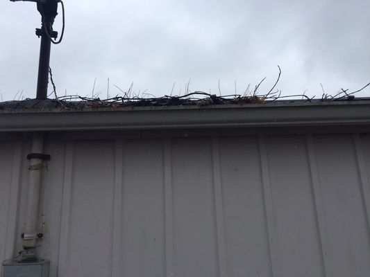 Do your gutter look like this?