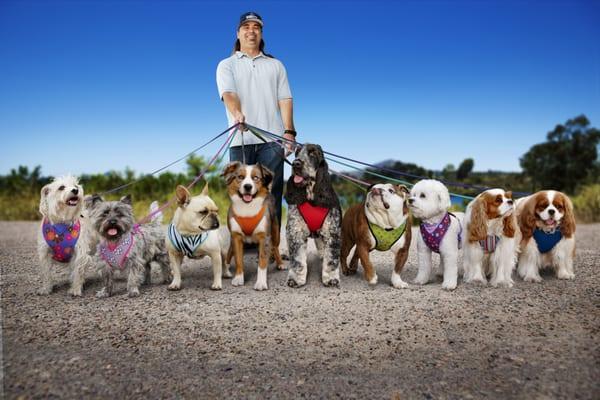 Kind To Canines Dog Training Services