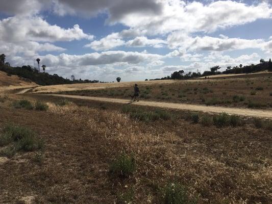 Trails and dog walkers