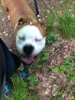 Oliver, ecstatic to be hiking!!