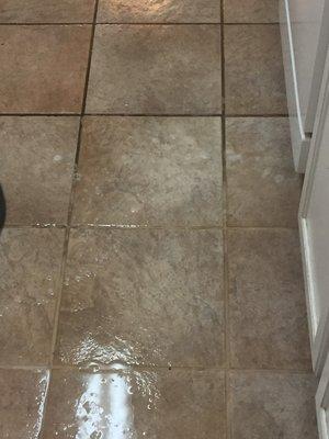 tile and grout cleaning before