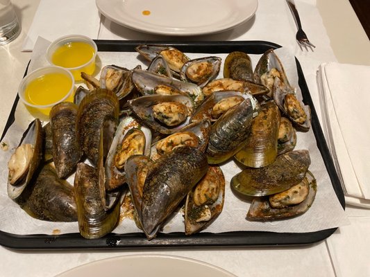 New Zealand mussels