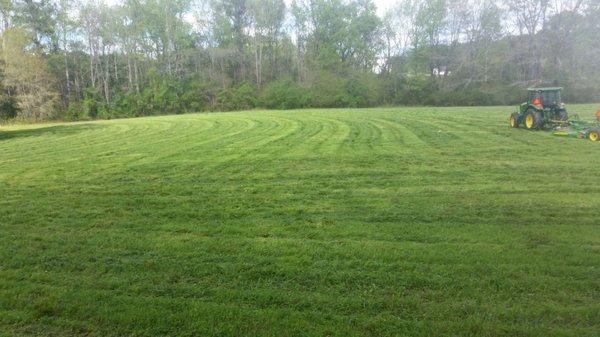 Freshly Mowed Field