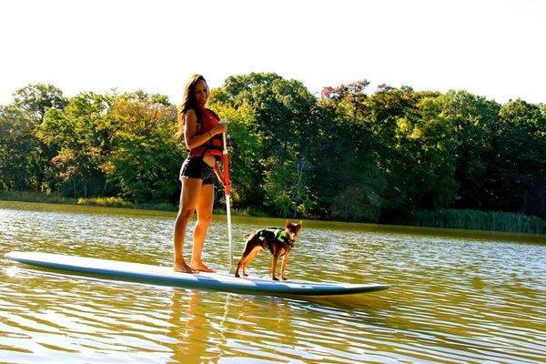 SUP with your pup at our new Rocky Point Beach location, daily from 10am-6pm. No reservations necessary!