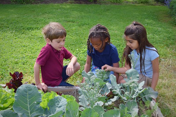 Nationally recognized Chesapeake Bay Studies curriculum.