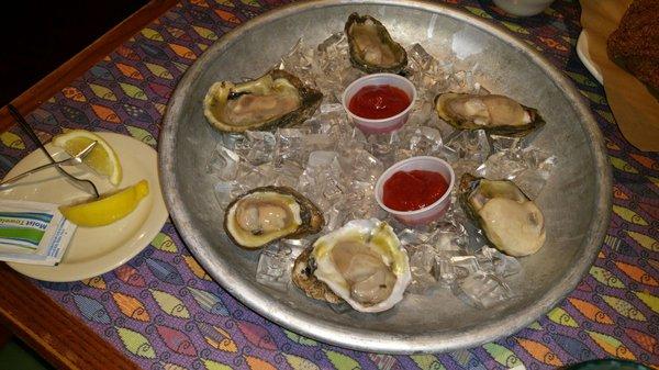 Fresh oysters so huge and yummy!