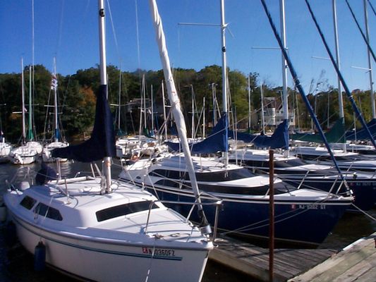 There are many sailors at the marina.