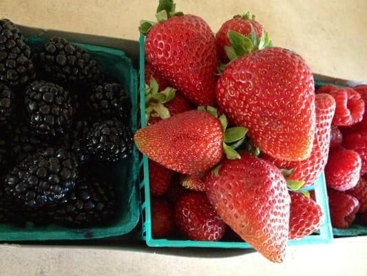 Trio of blackberries, strawberries, and raspberries for $8 (: