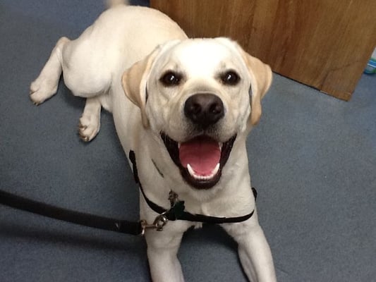 Cooper was all smiles after his visit today!