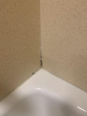 Mold on the wall above the tub.