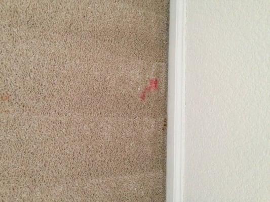 Red stain that am 2 pm was unable to get out after Pre stain treatment and carpet cleaning.