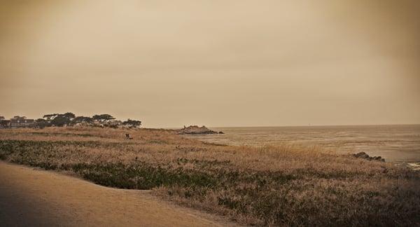 Monterey Bay is beautiful!