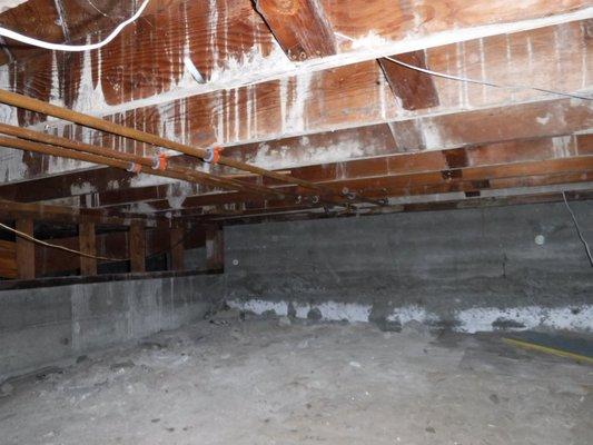 Crawlspace Condition