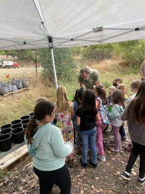 Learning about soil vs dirt & how to properly plant