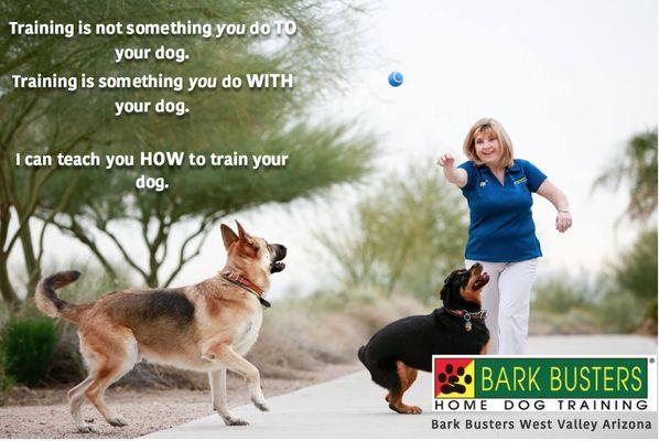 Bark Busters Home Dog Training Phoenix-Goodyear