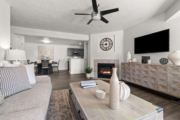 Fireplace in Select Homes