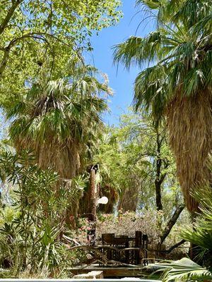 Bubbling Wells Oasis