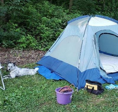 tent site with my dog, Tater.