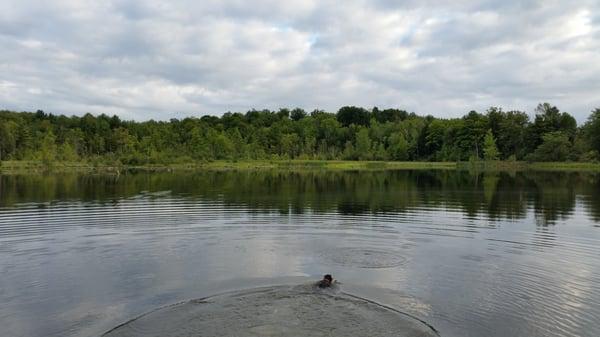 Huge pond for fishing!