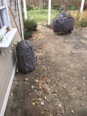 Fall clean up? So disappointing, not to mention they let my dogs out because they opened my gate when I have in writing I told them not to.