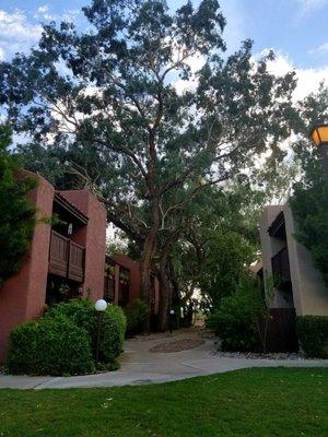 Tall shade trees in the courtyard help with the electric & provide a serene atmosphere