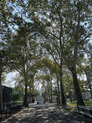 Tree lined walkways