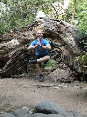 Yoga at Lo Lo Mai