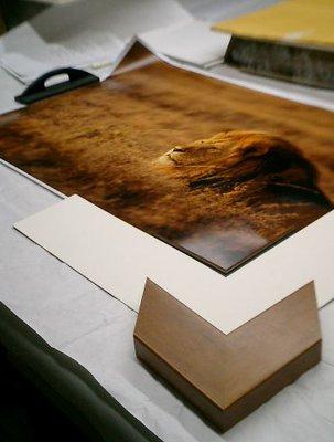 Our very experienced framers use only the best archival materials and techniques to protect your artwork for generations.