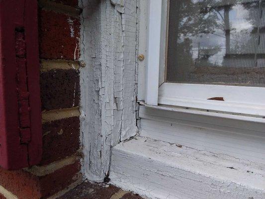 Chipping and peeling paint on a 100 year old house....lead paint contamination alert!!!