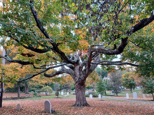 Cemetery adjacent to the chuch.