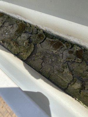 Gutter left uncleaned