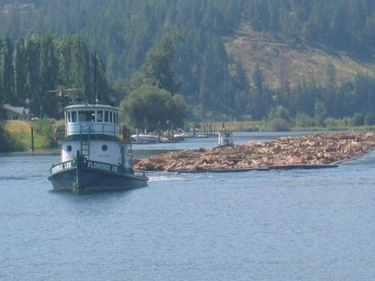 Monitoring the Logging-Patch